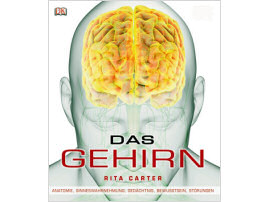 Das Gehirn